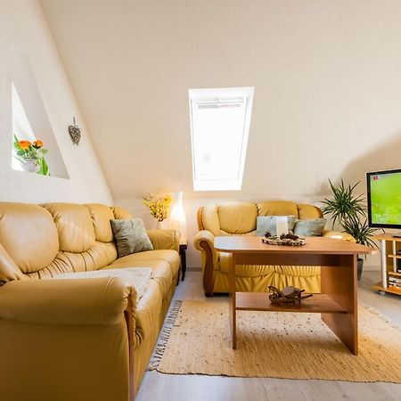 Waldblickwohnung Mit Schoener Terrasse Und Kamin Sebnitz Exterior photo