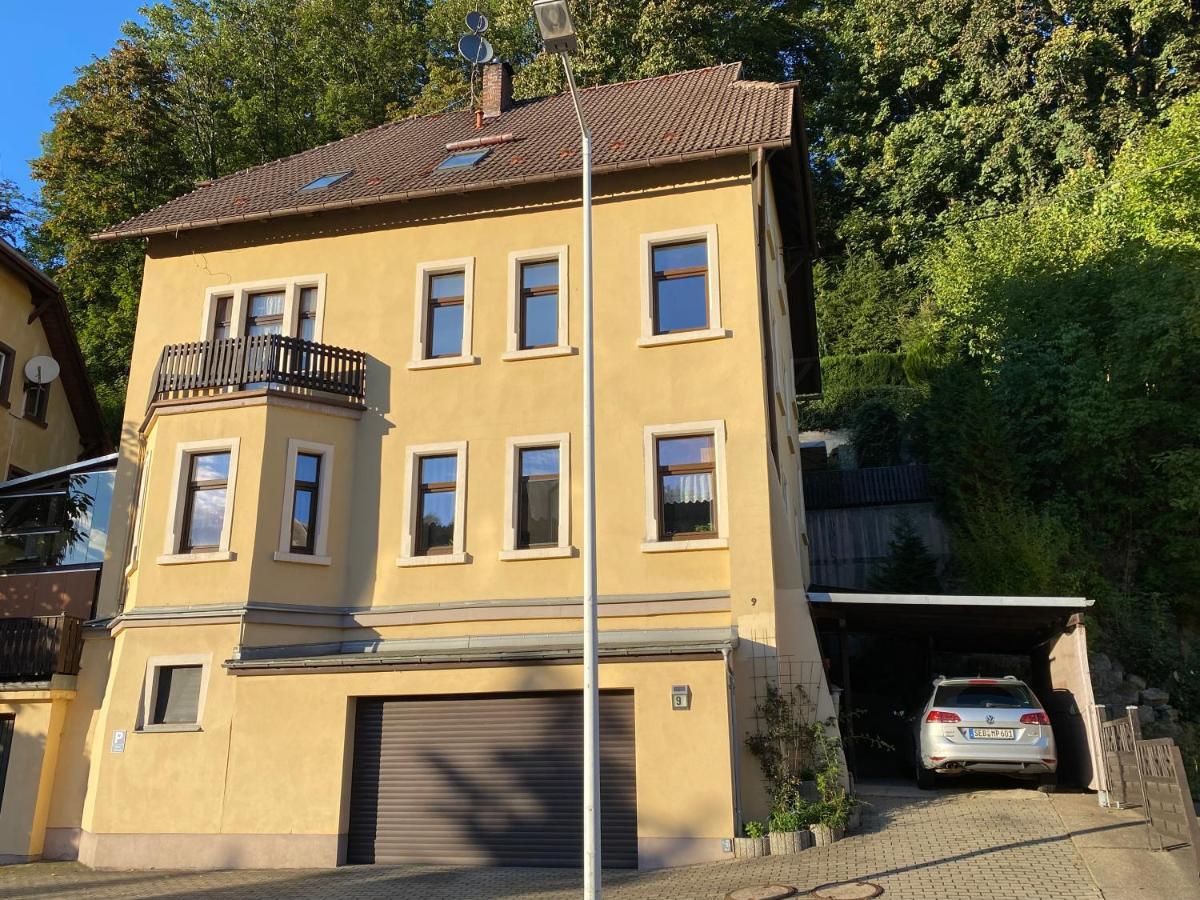Waldblickwohnung Mit Schoener Terrasse Und Kamin Sebnitz Exterior photo