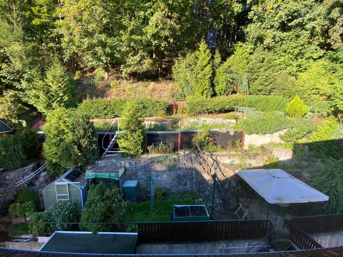Waldblickwohnung Mit Schoener Terrasse Und Kamin Sebnitz Exterior photo