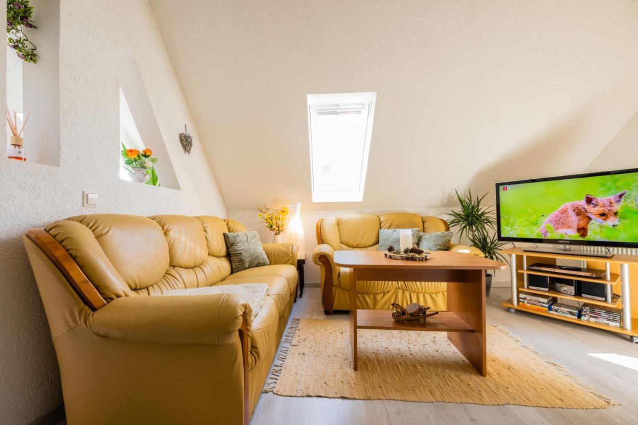 Waldblickwohnung Mit Schoener Terrasse Und Kamin Sebnitz Exterior photo